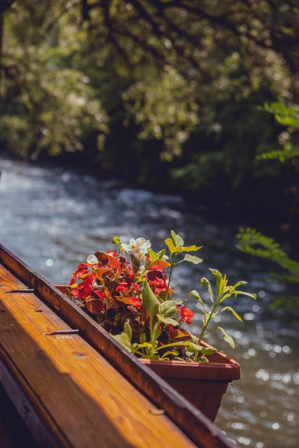 Rafting Kamp Dvije Vrbe Otel Foca Dış mekan fotoğraf